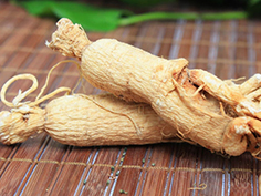 大力参