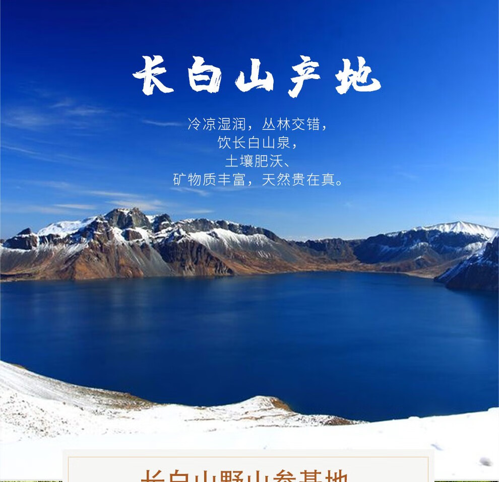 长白山野山参基地